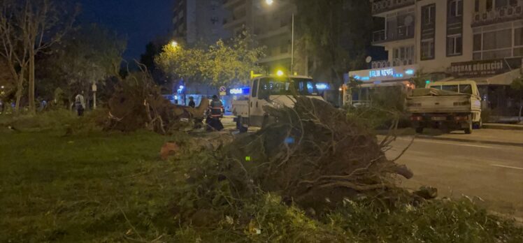 İzmir'de şiddetli rüzgar nedeniyle çok sayıda ağaç devrildi