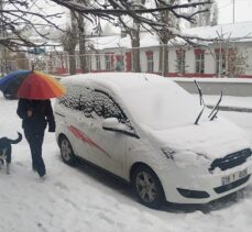 Erzurum, Ardahan, Erzincan ve Kars'ta kar etkili oluyor