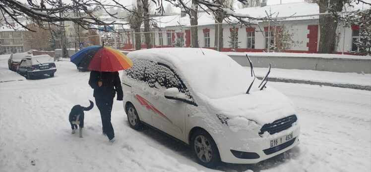 Erzurum, Ardahan, Erzincan ve Kars'ta kar etkili oluyor