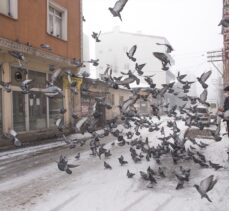 Doğu Anadolu'da buzlanma, don ve sis bekleniyor