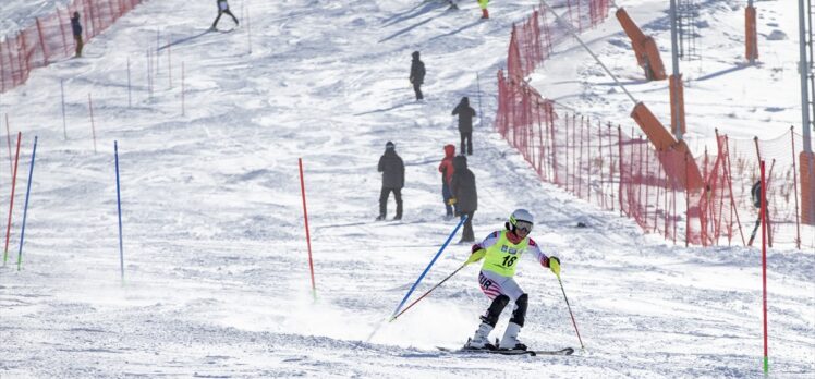 Kayak Alp Disiplini FIS Anadolu Kupası