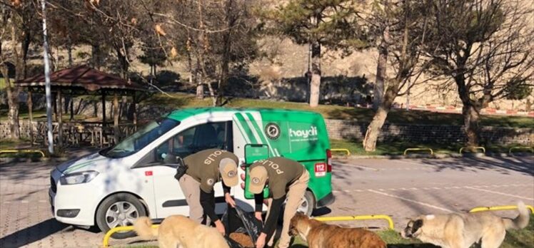 Malatya'da polis ekiplerinden sokak hayvanlarına yem ve mama desteği