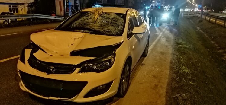 Ordu'da otomobilin çarptığı kadın hayatını kaybetti