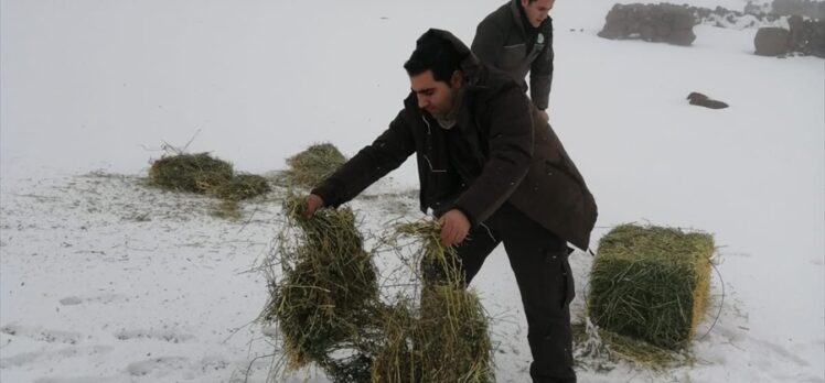 Şanlıurfa'da yaban hayvanları için doğaya yem bırakıldı