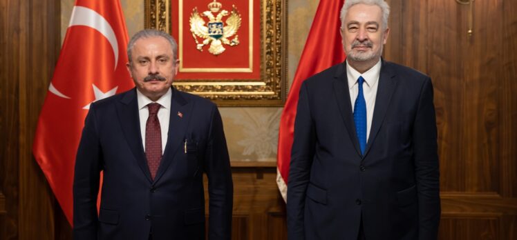 TBMM Başkanı Şentop, Karadağ Başbakanı Krivokapiç ile görüştü