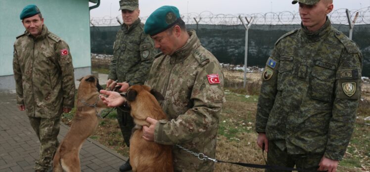 Türkiye, Kosova'ya arama-kurtarma çalışmaları için K9 köpekleri bağışladı