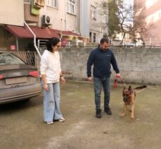 GÜNCELLEME – Zonguldak'ta çalınan köpeklerini bulan çift, büyük sevinç yaşadı