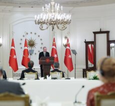 Cumhurbaşkanı Erdoğan, AB üyesi ülkelerin büyükelçileriyle yapılan toplantıda konuştu: (2)