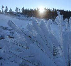 Erzurum, Kars ve Tunceli'de kar yağışı etkili oluyor