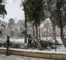 Şanlıurfa'daki tarihi Balıklıgöl beyaza büründü