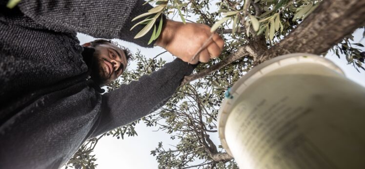 Zeytin çekirdeğinden tespih yapımını 76 yıldır sürdürüyor