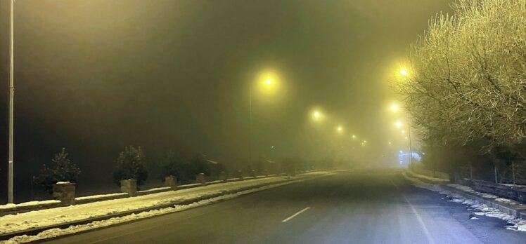 Ardahan'da yoğun sis devam ediyor