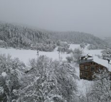 Kastamonu'da kar yağışının ardından ormanlar beyaz örtüyle kaplandı