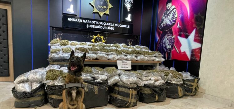 Ankara'da 257 kilo 500 gram esrar ele geçirildi