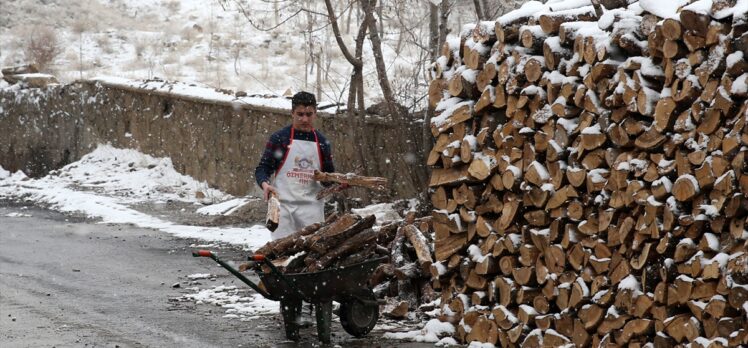 Van ve Bitlis'te kar yağışı etkisini gösterdi