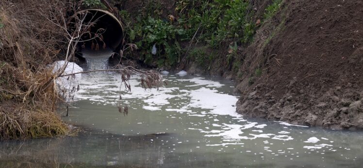 Edirne'de Tunca Nehri'ne atık su salınmasına çevrecilerden tepki