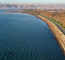 İzmit Körfezi'nde kırmızı ve sarı renkli yosun birikintisi görüldü