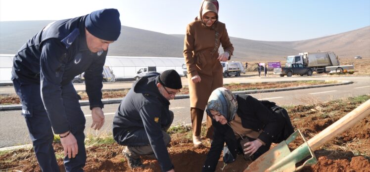 Kahramanmaraş'ta alıç fideleriyle arıcılıkta verimliliğinin artırılması hedefleniyor