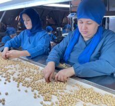 Türk fındığı yeni pazar bulmak için 15 ülkede tanıtılacak