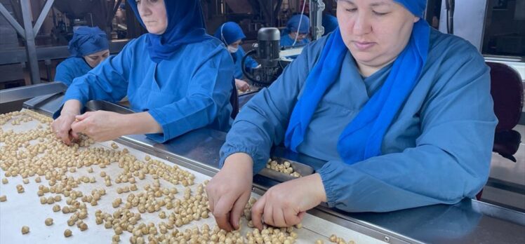 Türk fındığı yeni pazar bulmak için 15 ülkede tanıtılacak