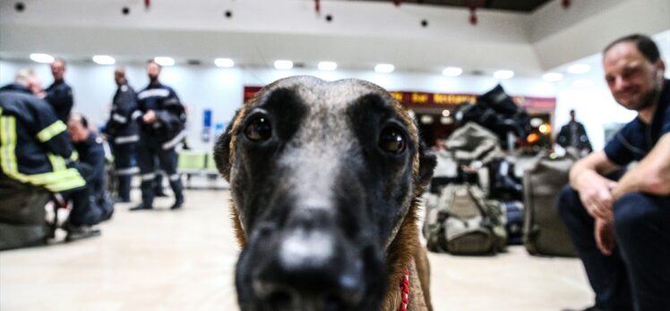 Arama kurtarma köpekleri, hassas burunlarıyla enkaz altındaki yüzlerce cana umut oldu