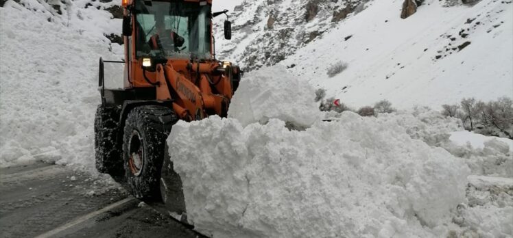 Çığ nedeniyle kapanan Hakkari-Çukurca kara yolu açıldı