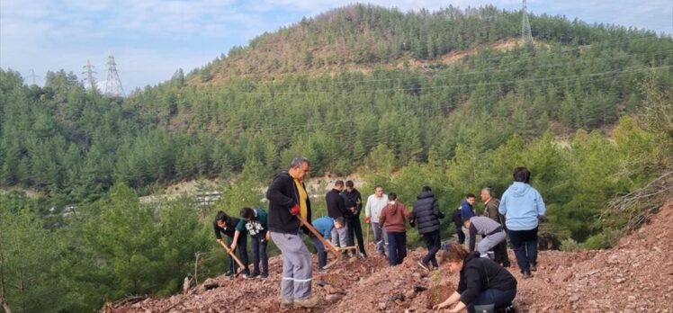 Ege ve Marmara Çevreci Belediyeler Birliği Encümeni Marmaris'te fidan dikti