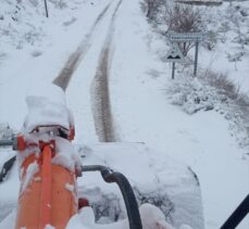 Gaziantep ve çevre illerinde kar yağışı devam ediyor