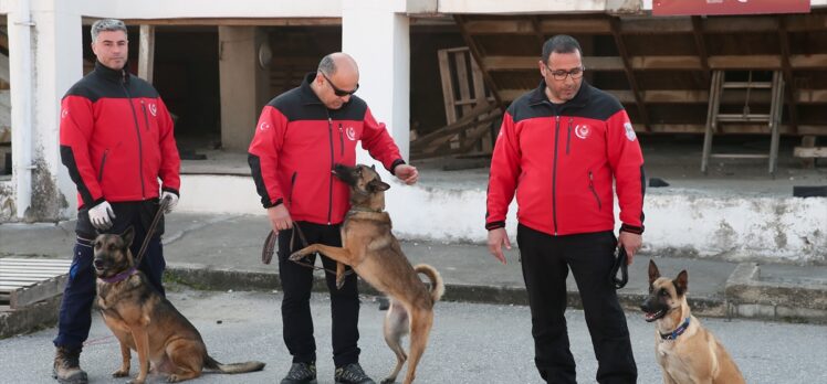 İzmir İtfaiyesi ekipleri, arama kurtarma köpekleriyle enkaz altındakilerin yerini tespit etti