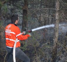 Kastamonu'da ormanlık alanda çıkan yangın söndürüldü