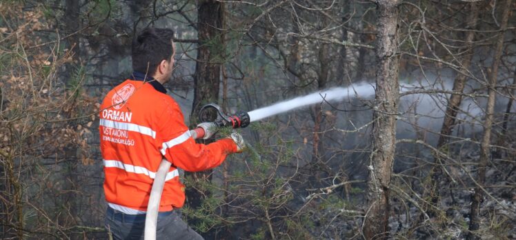 Kastamonu'da ormanlık alanda çıkan yangın söndürüldü