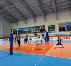 Voleybol: AXA Sigorta Efeler Ligi