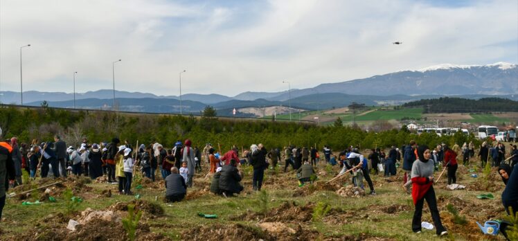 Bolu'da yaşayan depremzedeler, enkazda yitirdiklerinin anısına fidan dikti