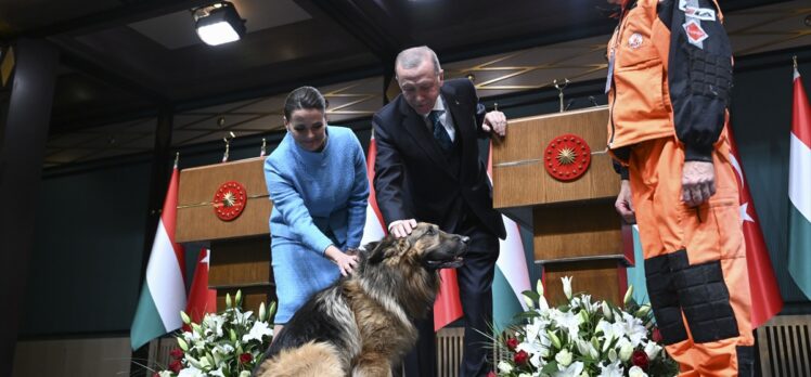 Macaristan Cumhurbaşkanı Novak, Cumhurbaşkanı Erdoğan ile ortak basın toplantısında konuştu: (2)