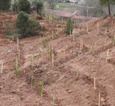 Karabük'te, 6 Şubat depremlerinde hayatını kaybedenlerin anısına 1100 fidan dikildi