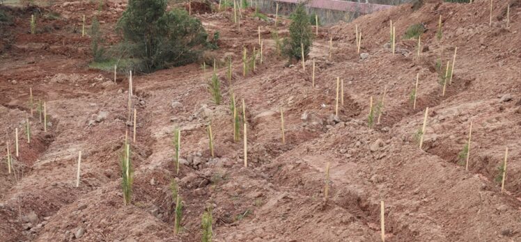 Karabük'te, 6 Şubat depremlerinde hayatını kaybedenlerin anısına 1100 fidan dikildi