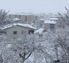 Samsun ve Tokat'ta kar yağışı etkili oldu