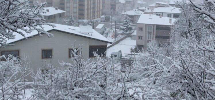 Samsun ve Tokat'ta kar yağışı etkili oldu