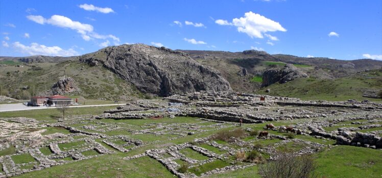 8 bin yıllık geçmişe sahip Hattuşa'da doğa ilkbaharla yeniden canlandı