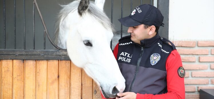 Atlı polisler toplumun huzur ve güvenliği için her an göreve hazır