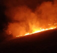 Bodrum'da makilikteki yangına müdahale ediliyor