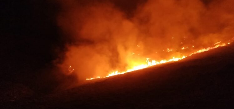 Bodrum'da makilikteki yangına müdahale ediliyor