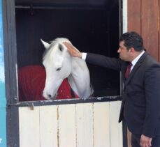 Elazığ Hipodromu 12 Nisan'da açılacak