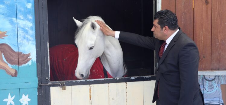 Elazığ Hipodromu 12 Nisan'da açılacak