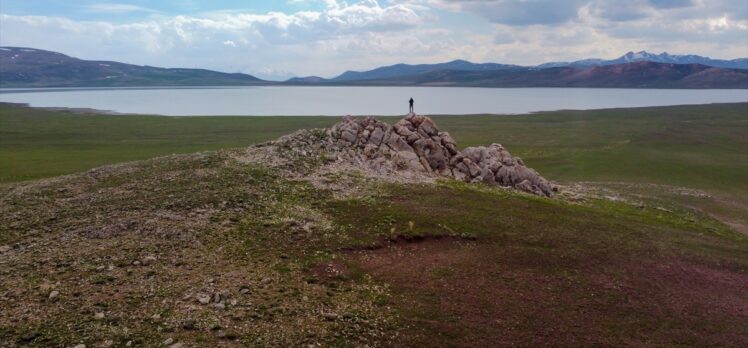 Van'da yazın kuruyan Akgöl, son yağışlarla yeniden suyla doldu