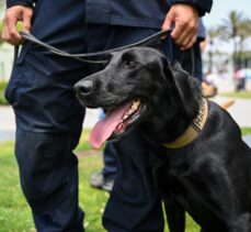 ABD'li arama kurtarma ekibi, California Türk Festivali'ne katıldı