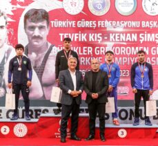 Büyükler Grekoromen Güreş Türkiye Şampiyonası, Ordu'da tamamlandı