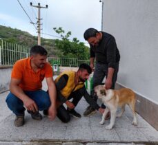 Çorum'da kapının demir parmaklıklarına sıkışan köpek kurtarıldı