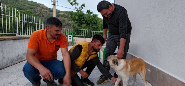 Çorum'da kapının demir parmaklıklarına sıkışan köpek kurtarıldı