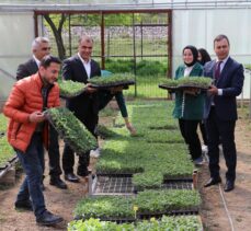 Erzincan'da öğrencilerin uygulama derslerinde ürettiği fideler satışa sunuldu